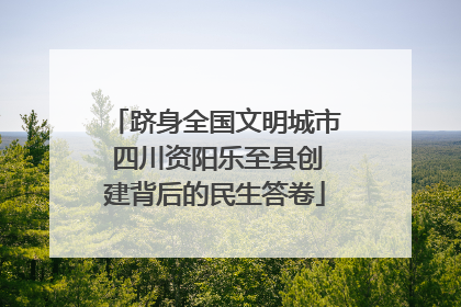 跻身全国文明城市 四川资阳乐至县创建背后的民生答卷