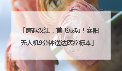 跨越汉江，首飞成功！襄阳无人机9分钟送达医疗标本