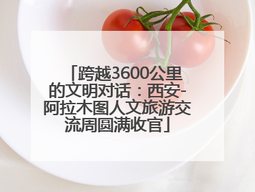 跨越3600公里的文明对话：西安-阿拉木图人文旅游交流周圆满收官