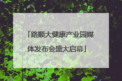 路顺大健康产业园媒体发布会盛大启幕