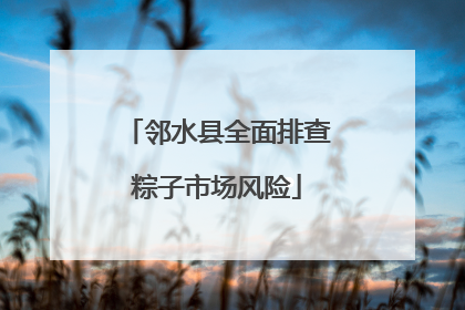 邻水县全面排查粽子市场风险