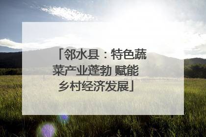 邻水县：特色蔬菜产业蓬勃 赋能乡村经济发展