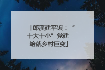 郎溪建平镇：“十大十小”党建 绘就乡村巨变