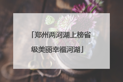 郑州两河湖上榜省级美丽幸福河湖