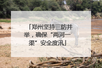郑州坚持三防并举，确保“两河一渠”安全度汛