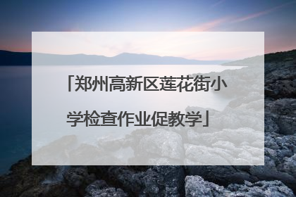 郑州高新区莲花街小学检查作业促教学