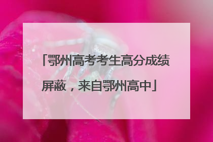 鄂州高考考生高分成绩屏蔽，来自鄂州高中