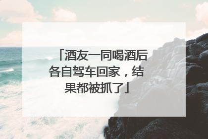 酒友一同喝酒后各自驾车回家，结果都被抓了