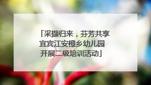 采撷归来，芬芳共享 宜宾江安橙乡幼儿园开展二级培训活动