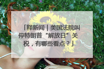 释新闻｜美国法院叫停特朗普“解放日”关税，有哪些看点？