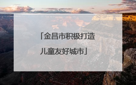 金昌市积极打造儿童友好城市