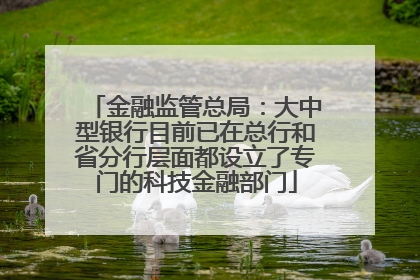 金融监管总局：大中型银行目前已在总行和省分行层面都设立了专门的科技金融部门