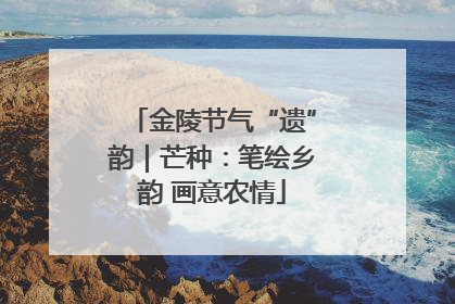 金陵节气“遗”韵｜芒种：笔绘乡韵 画意农情