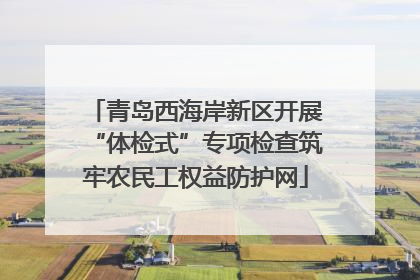 青岛西海岸新区开展“体检式”专项检查筑牢农民工权益防护网