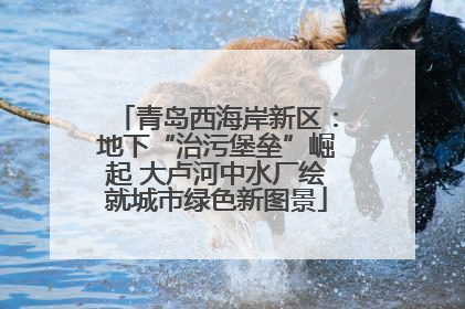 青岛西海岸新区：地下“治污堡垒”崛起 大卢河中水厂绘就城市绿色新图景