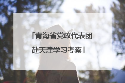 青海省党政代表团赴天津学习考察