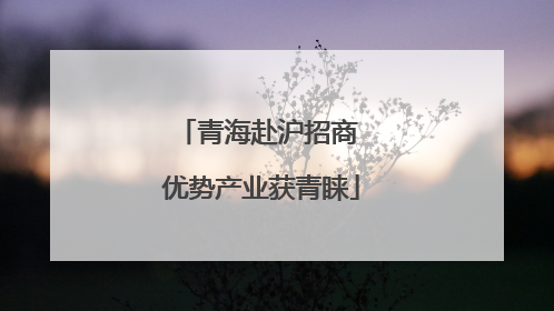 青海赴沪招商 优势产业获青睐