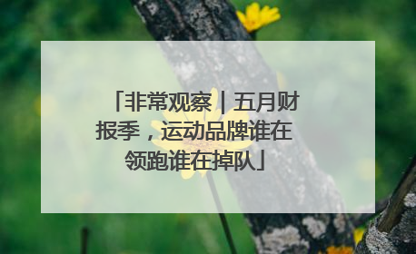 非常观察｜五月财报季，运动品牌谁在领跑谁在掉队