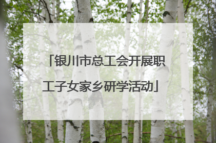 银川市总工会开展职工子女家乡研学活动