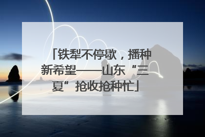 铁犁不停歇，播种新希望——山东“三夏”抢收抢种忙