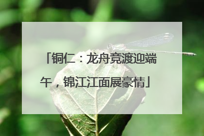铜仁：龙舟竞渡迎端午，锦江江面展豪情