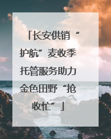 长安供销“护航”麦收季托管服务助力金色田野“抢收忙”