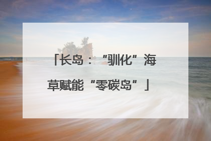 长岛：“驯化”海草赋能“零碳岛”