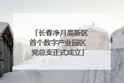 长春净月高新区首个数字产业园区党总支正式成立