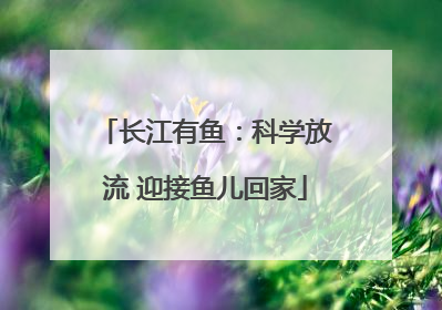 长江有鱼：科学放流 迎接鱼儿回家