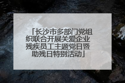 长沙市多部门党组织联合开展关爱企业残疾员工主题党日暨助残日特别活动