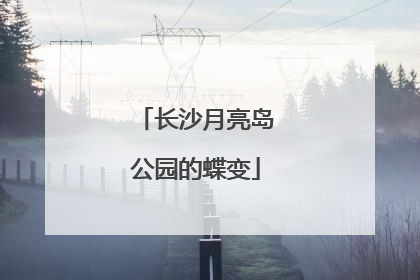 长沙月亮岛公园的蝶变