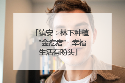 镇安：林下种植“金疙瘩” 幸福生活有盼头