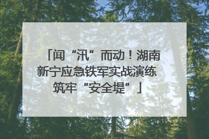 闻“汛”而动！湖南新宁应急铁军实战演练筑牢“安全堤”