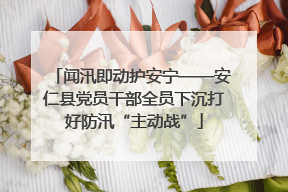 闻汛即动护安宁——安仁县党员干部全员下沉打好防汛“主动战”
