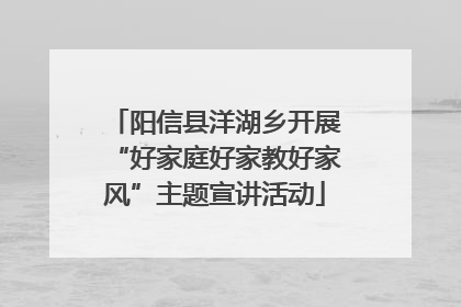 阳信县洋湖乡开展“好家庭好家教好家风”主题宣讲活动