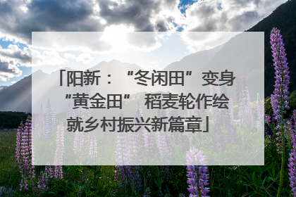 阳新：“冬闲田”变身“黄金田” 稻麦轮作绘就乡村振兴新篇章