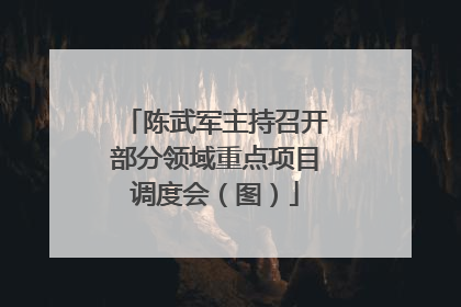 陈武军主持召开部分领域重点项目调度会（图）