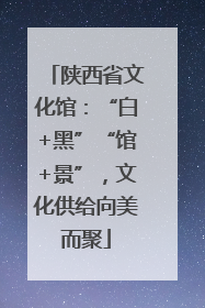 陕西省文化馆：“白+黑”“馆+景”，文化供给向美而聚