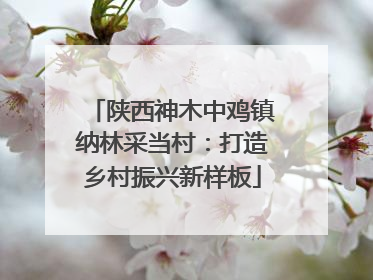 陕西神木中鸡镇纳林采当村：打造乡村振兴新样板