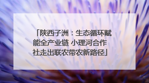 陕西子洲：生态循环赋能全产业链 小理河合作社走出联农带农新路径