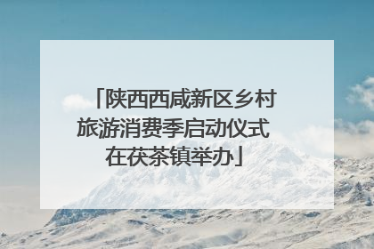 陕西西咸新区乡村旅游消费季启动仪式在茯茶镇举办