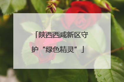 陕西西咸新区守护“绿色精灵”
