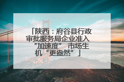 陕西：府谷县行政审批服务局企业准入“加速度” 市场生机“更盎然”