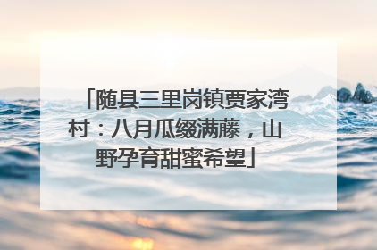 随县三里岗镇贾家湾村：八月瓜缀满藤，山野孕育甜蜜希望