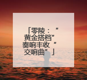零陵：“黄金搭档”奏响丰收“交响曲”