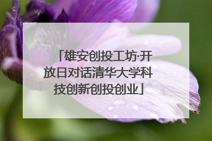 雄安创投工坊·开放日对话清华大学科技创新创投创业