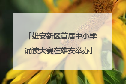 雄安新区首届中小学诵读大赛在雄安举办