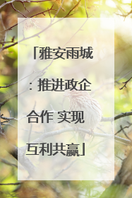 雅安雨城：推进政企合作 实现互利共赢
