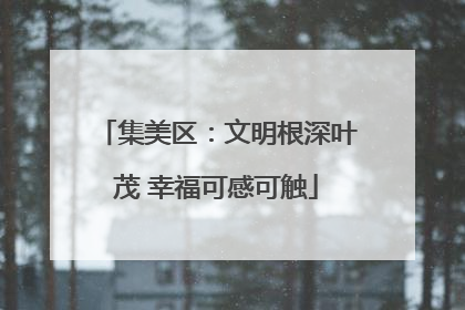 集美区：文明根深叶茂 幸福可感可触