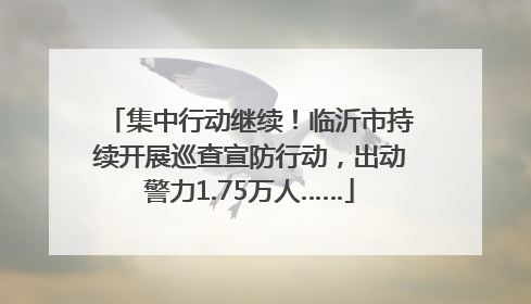 集中行动继续！临沂市持续开展巡查宣防行动，出动警力1.75万人……